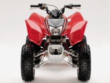 Фото Honda TRX250X  №4