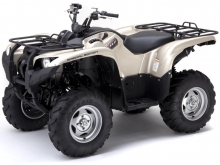 Фото Yamaha Grizzly 700 EPS  №17